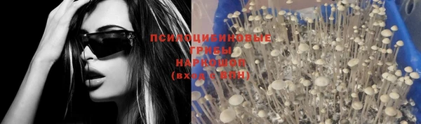 spice Армянск
