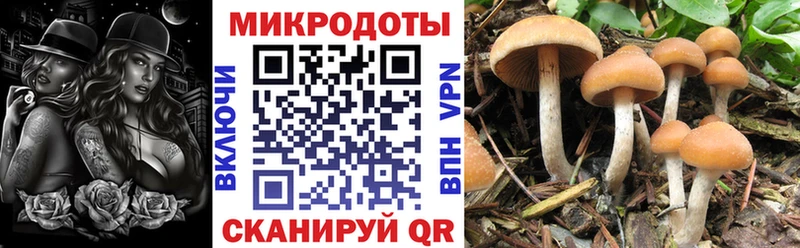 хочу   кракен ссылки  Псилоцибиновые грибы Magic Shrooms  Борисоглебск 